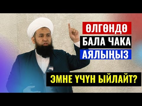 Video: Чыбактар өлгөндө калкып калабы?