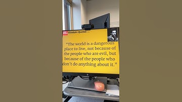 Einstein Quote - the world is a dangerous place to live ... 18 November 2024 #inspirationalquote