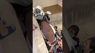 Vietnamese Women Are Beautiful And Strong Vietnam Flood Scenes vietnamgirls vietnam vietnamflood