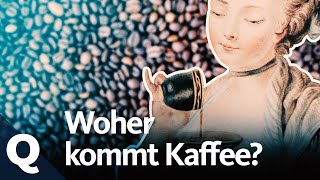 Die Geschichte Vom Kaffee Quarks