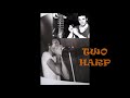 Miniature de la vidéo de la chanson Two Harps