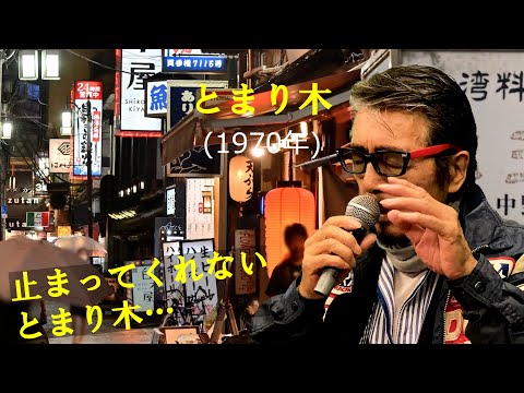 「とまり木」 字幕付きカバー 1970年 たきのえいじ作詞作曲 小林幸子 若林ケン 昭和歌謡シアター ～たまに平成の歌～