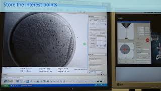 Acquire SEM image part 3 Fish eyes mode Store position