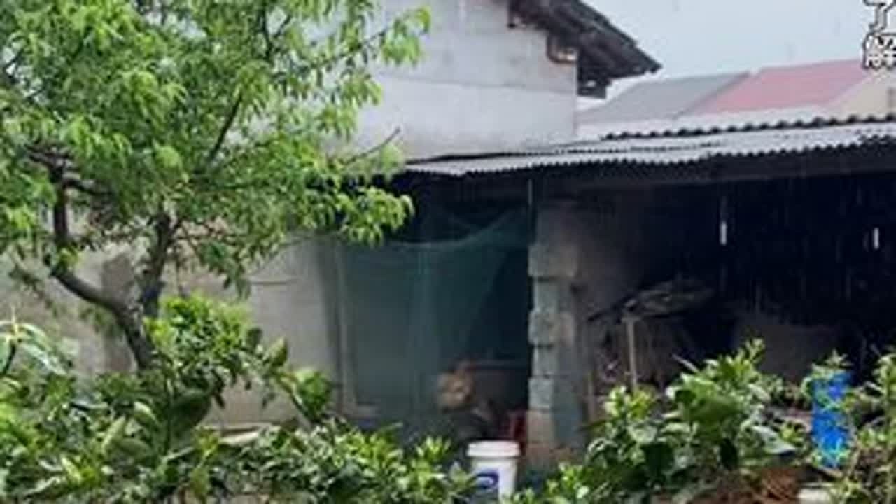 情家母来啦#湖南 #常德 #农村 #情家母