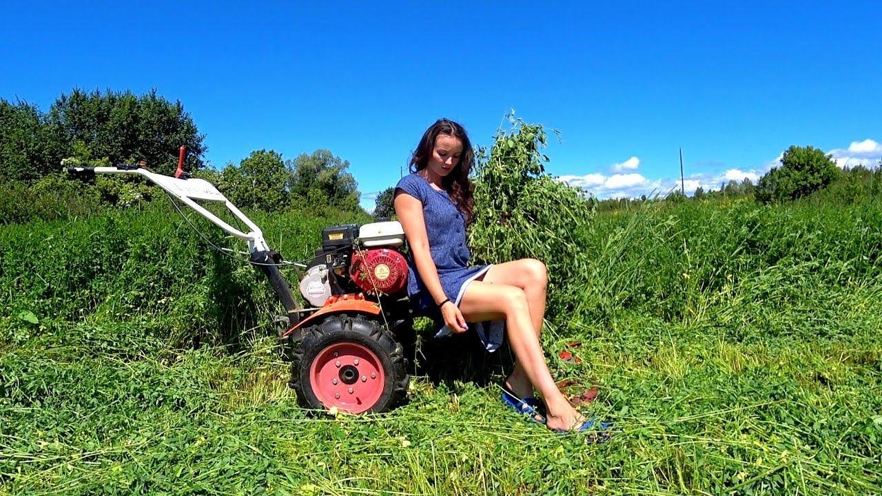 Saftige Heuernte auf dem Dorf: Dichte Luzerne mähen mit umgebautem Balkenmäher – Landleben pur
