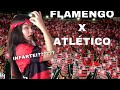 ASSISTI O FLAMENGO PELA PRIMEIRA VEZ
