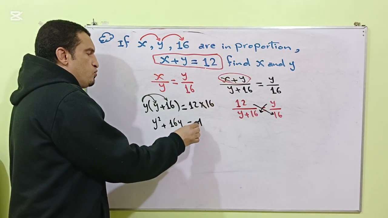 Proportion 6 المجنون