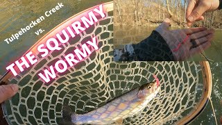 Tulpehocken Creek VS  The Squirmy Wormy