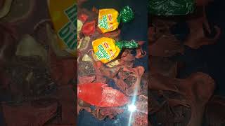 parle mango toffee #candyman #cottoncandymaking #justjelly #nestleicecream #nestlechocolate
