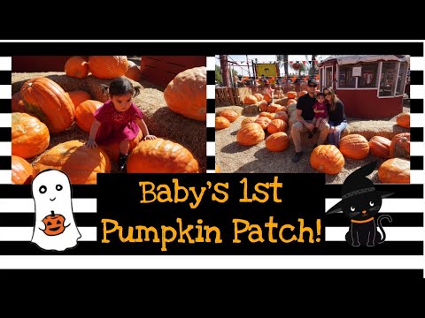 Baby’s 1st Pumpkin Patch! | 2018 | Tapia Bros Farm