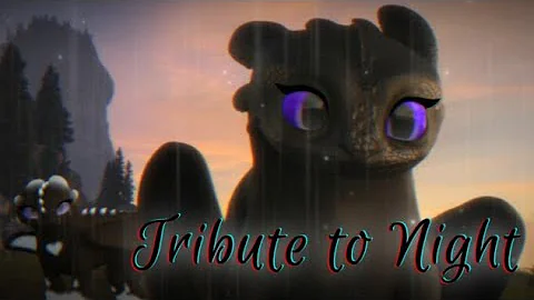 ❤︎ Tribute to 𝑵𝒊𝒈𝒉𝒕 ❤︎