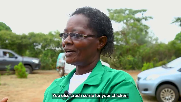 Impact of Regenerative Agriculture in Embu, Kenya