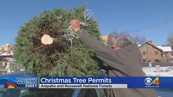 Permits For Cutting Christmas Trees Online Now At USFS.