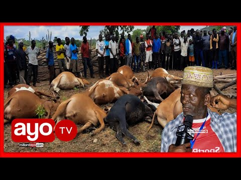 Video: Pampu Ya Magari Kwa Maji Machafu Sana: Jinsi Ya Kuchagua Pampu Ya Matope? Makala Ya Mifano Ya Dizeli Na Petroli Kwa Kusukuma Sludge Na Vinywaji Vichafu