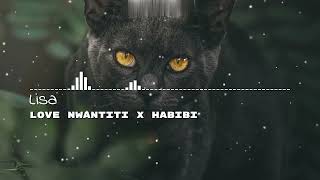 Download Lagu Love Nwantiti X Habibi REMIX MP3