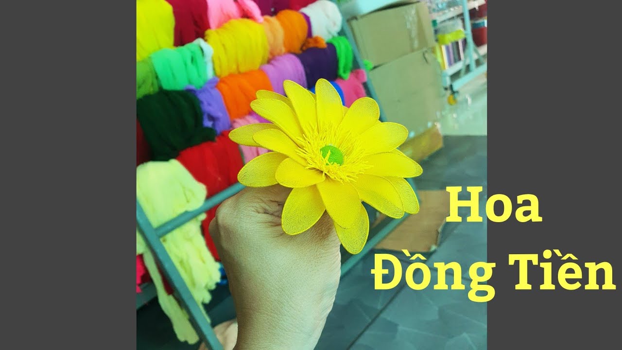 Làm hoa Đồng Tiền bằng vải voan - 