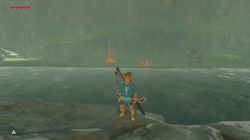 Gold Bokoblin kills himself