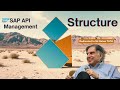 The Structure of SAP API Management Capability #sap #api #structure