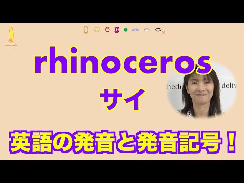 動物の英語の発音 サイ Rhinoceros R の英語のマスター 398