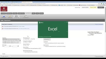 Using Excel to Analyze Data from a Qualtrics Experiment