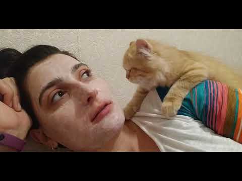 კუხნაში, მია!