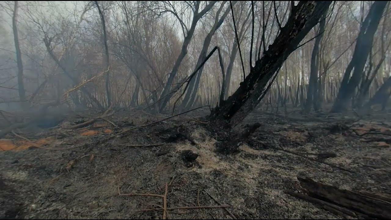 Торфяной пожар в Бурятии видео 360 - YouTube