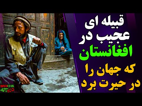 تصویری: قانون 1913 سرزمین بومی آفریقای جنوبی چه کرد؟