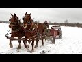 Duke  earl are getting to work  draft horses spreading manure 613