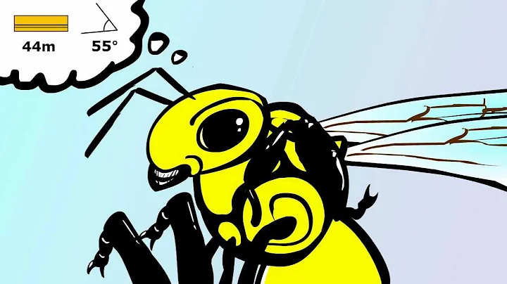 Figure 8 Dance - How do bees communicate?