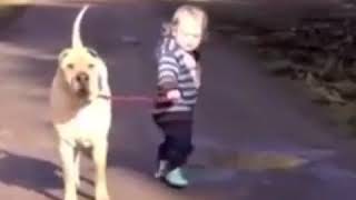 Galinha De Sapatos40