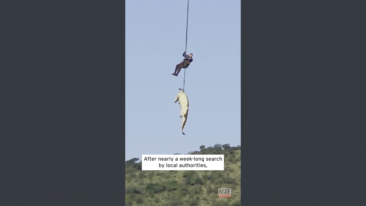 Human Remains Found In Crocodile In South Africa #shorts