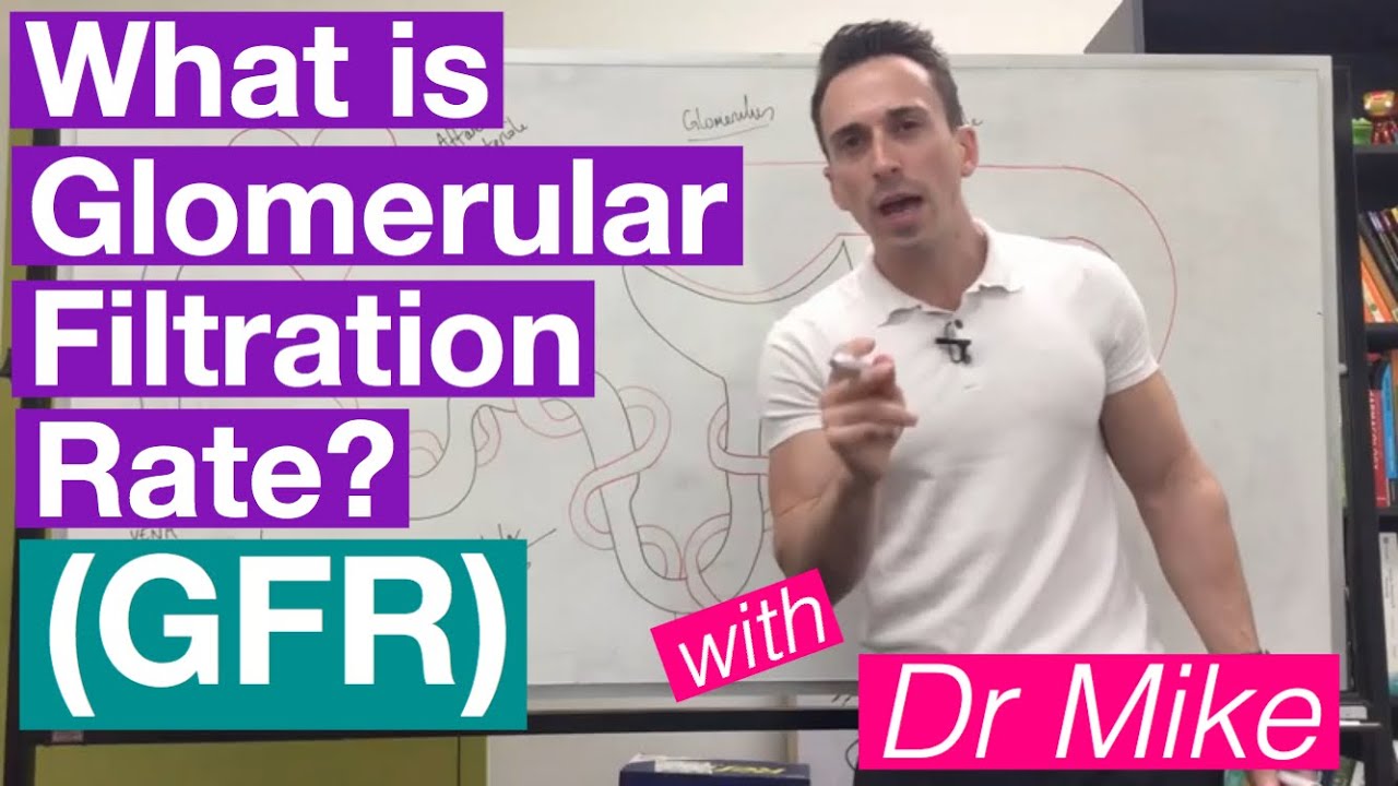 Which Of The Following Conditions Would Cause An Increase In The Glomerular Filtration Rate Gfr?