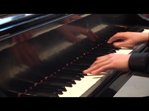 Unlasting Fantasie for piano - SemiTech