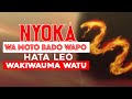NYOKA WA MOTO BADO WAPO HATA LEO WAKIWAUMA WATU MWL TENGWA