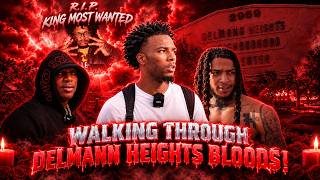 Walking Through Delmann Heights Bloods ! The Largest Blood Hood In San Bernardino !