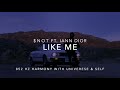 $NOT - Like Me (Ft. Iann Dior) [852 Hz Harmony with Universe & Self]