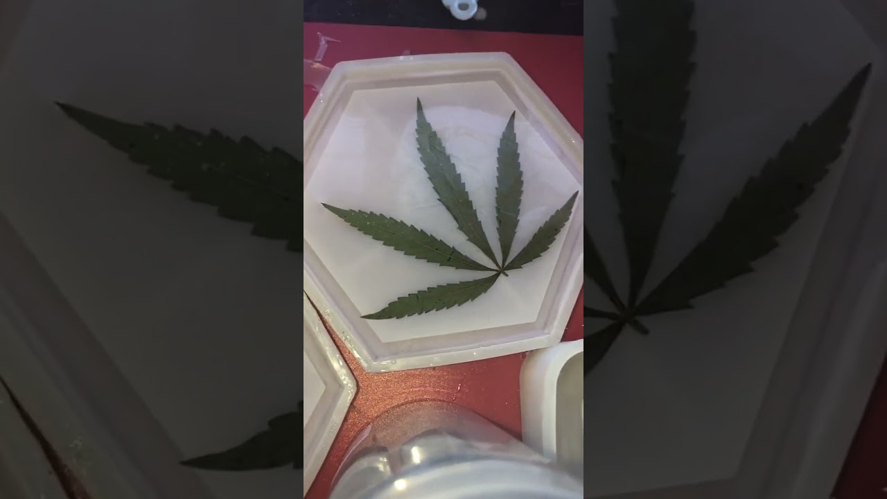 Leaf Resin Art: Preserving Nature with Cannabis Leaves in Epoxy