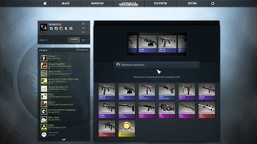 First Phoenix Case CS G.O