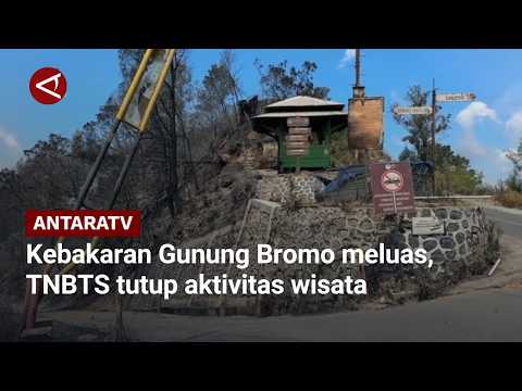 Kebakaran Gunung Bromo meluas, TNBTS tutup aktivitas wisata