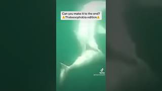 THIS will give you ⚠️ THALASSOPHOBIA ⚠️ #shorts #ocean #sea #shark #thalassophobia #fyp #viral