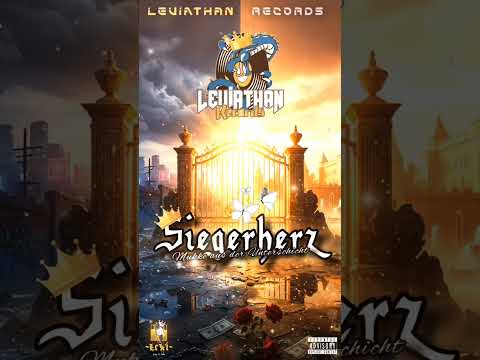 Metrickz - Siegerherz (LeVi REMIX)
