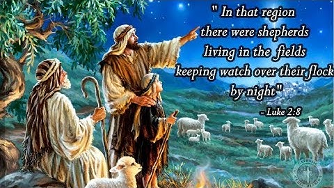 Advent Capsule||The Story behind Christmas🎄🎅 (Day-11, Luke 2:8)  #Christmas #ChristmasWhatsappStatus