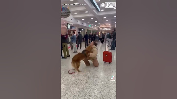 Dog and owner share heartwarming reunion after 3 months apart