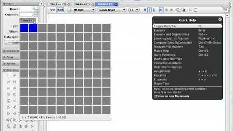 Basic matrix operations with Maple 12 - Technion Demo