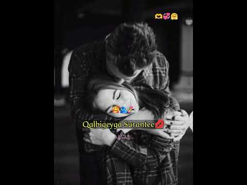 HEES MACAN QALBIGEYGA SURANTE SOMALI LYRICS Somalitiktok Funny Shorts