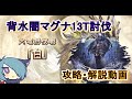 【グラブル】闇マグナvs光六竜 13T討伐【解説付】