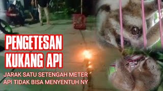 PENGETESAN KUKANG API