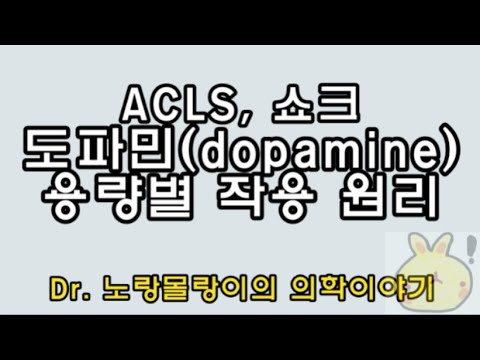 도파민 용량(dopamine dose)별 작용: ACLS(전문심장소생술), shock(쇼크)