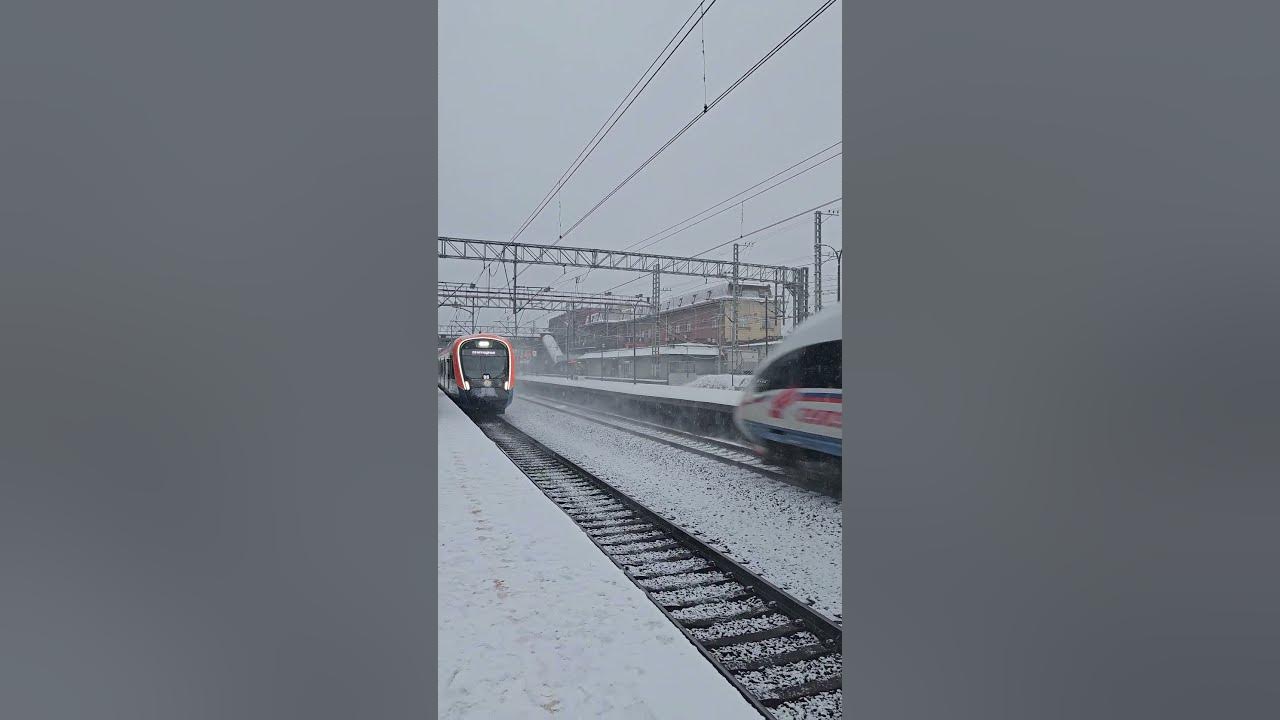 Сапсан и Иволга  #music #remix #train #поезд #railway #travel #реки #рек #топ