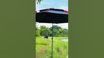 Vợt Vớt Cá Săn Hàng Có Đến Tiền Triệu Không? Và giá là...#votvotcasanhang #votvotcacaudai